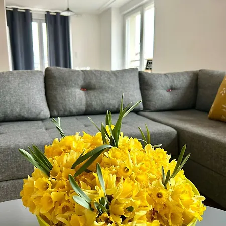 La Jonquille, Centre De Gerardmer, Linge Et Menage Inclus *