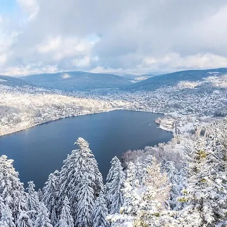 La Jonquille, Centre De Gerardmer, Linge Et Menage Inclus *