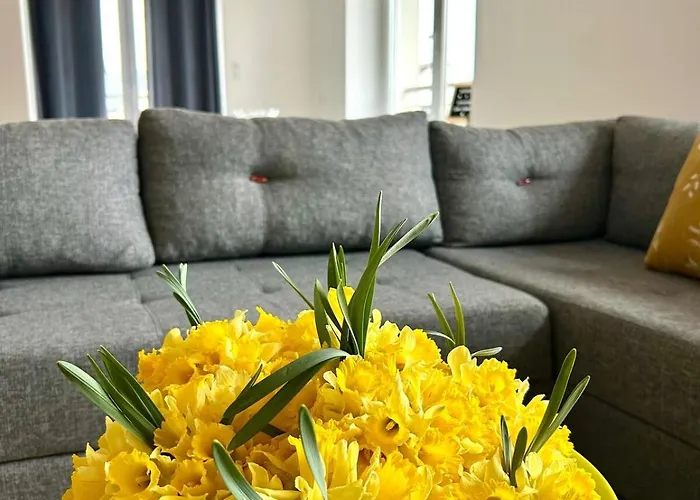 La Jonquille, Centre De Gerardmer, Linge Et Menage Inclus *