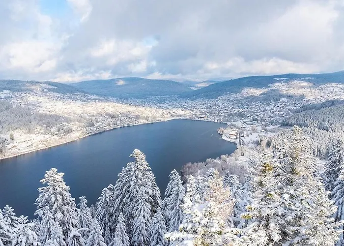 La Jonquille, Centre De Gerardmer, Linge Et Menage Inclus *